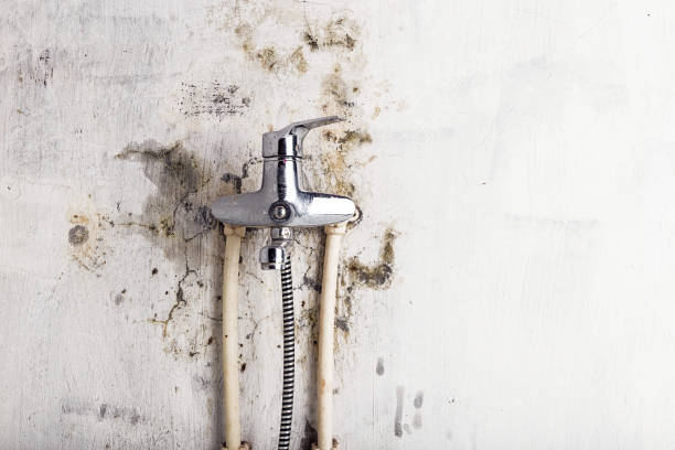 Best Mold Testing  in Myrtle Creek, OR