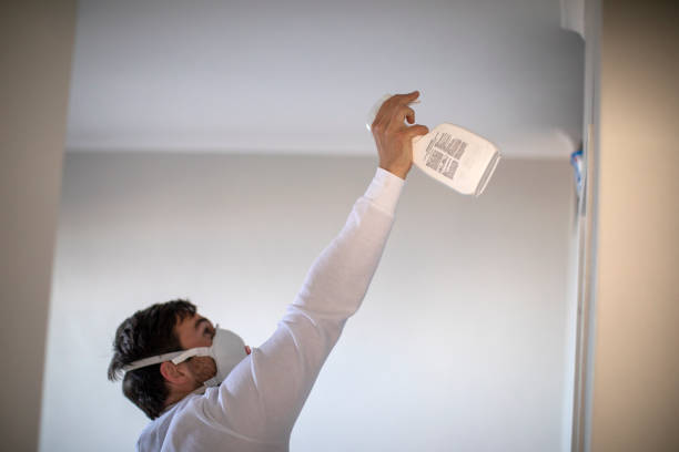 Mold Removal and Inspection in Myrtle Creek, OR