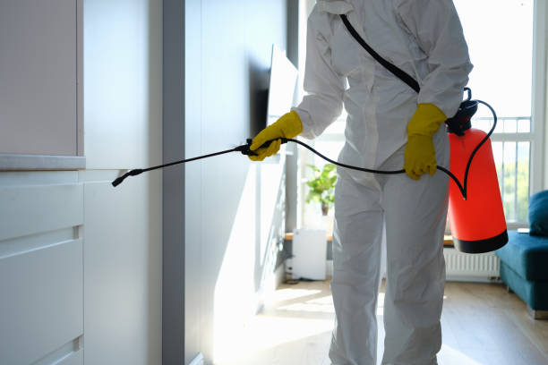 Best Affordable Mold Removal  in Myrtle Creek, OR