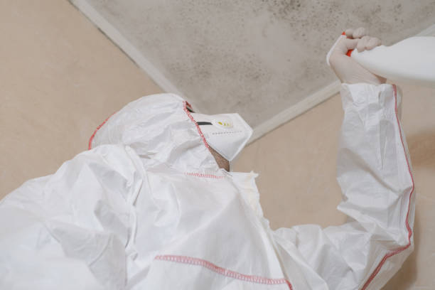 Best Residential Mold Removal  in Myrtle Creek, OR
