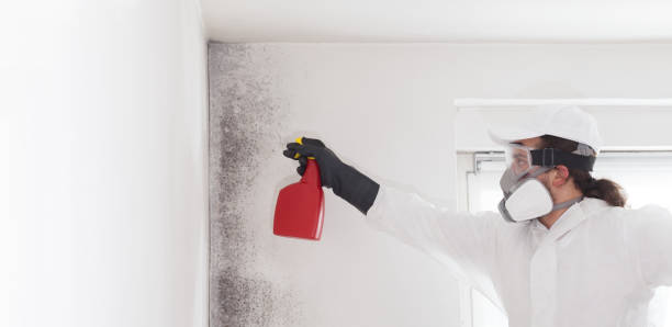 Best Mold Remediation Services  in Myrtle Creek, OR